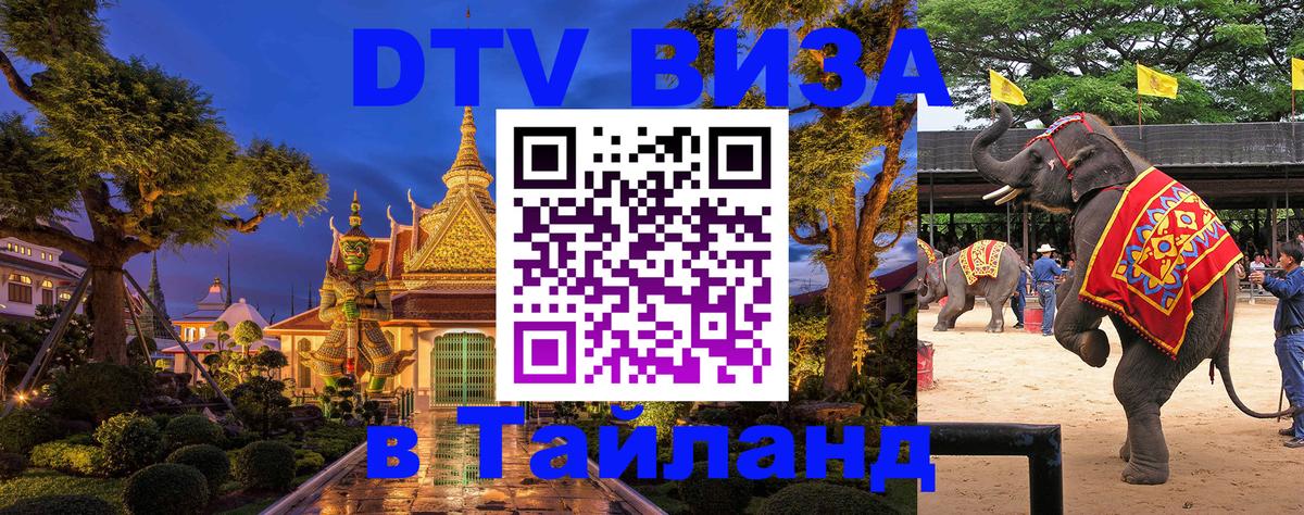 DTV Visa Тайланд купить Тюмень 